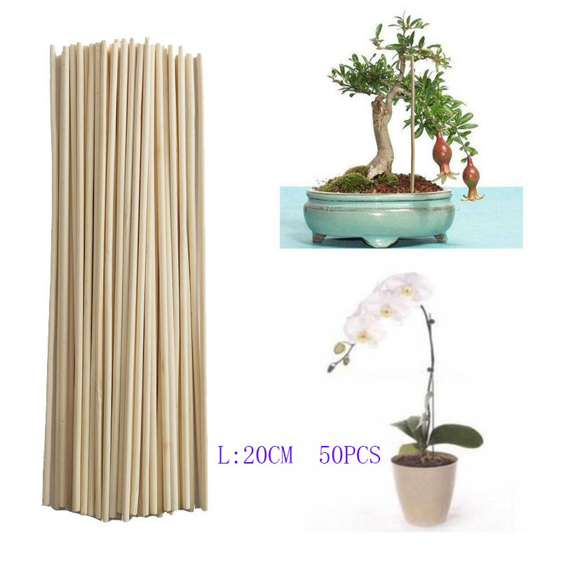 Art Craft Stick - 50 SZTUK 20CM Bambusowe Patyczki Naturalne